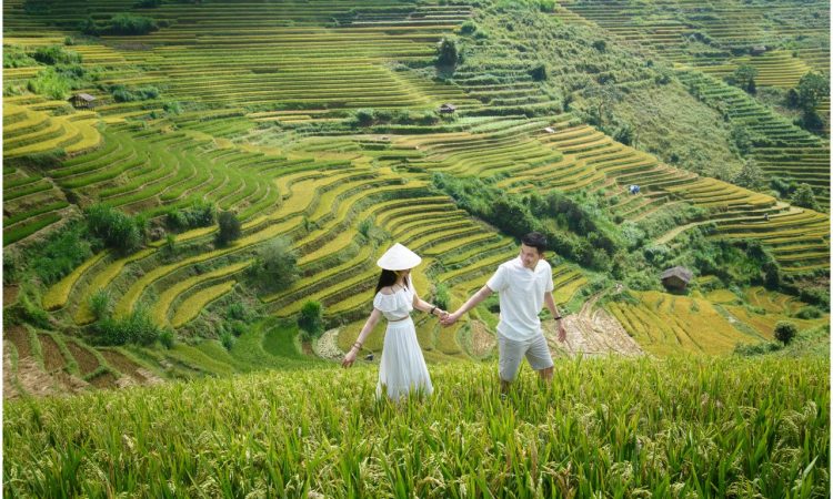 Voyage de noces au Vietnam